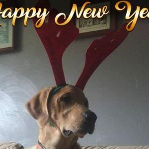 Meet your Posher, Marcy